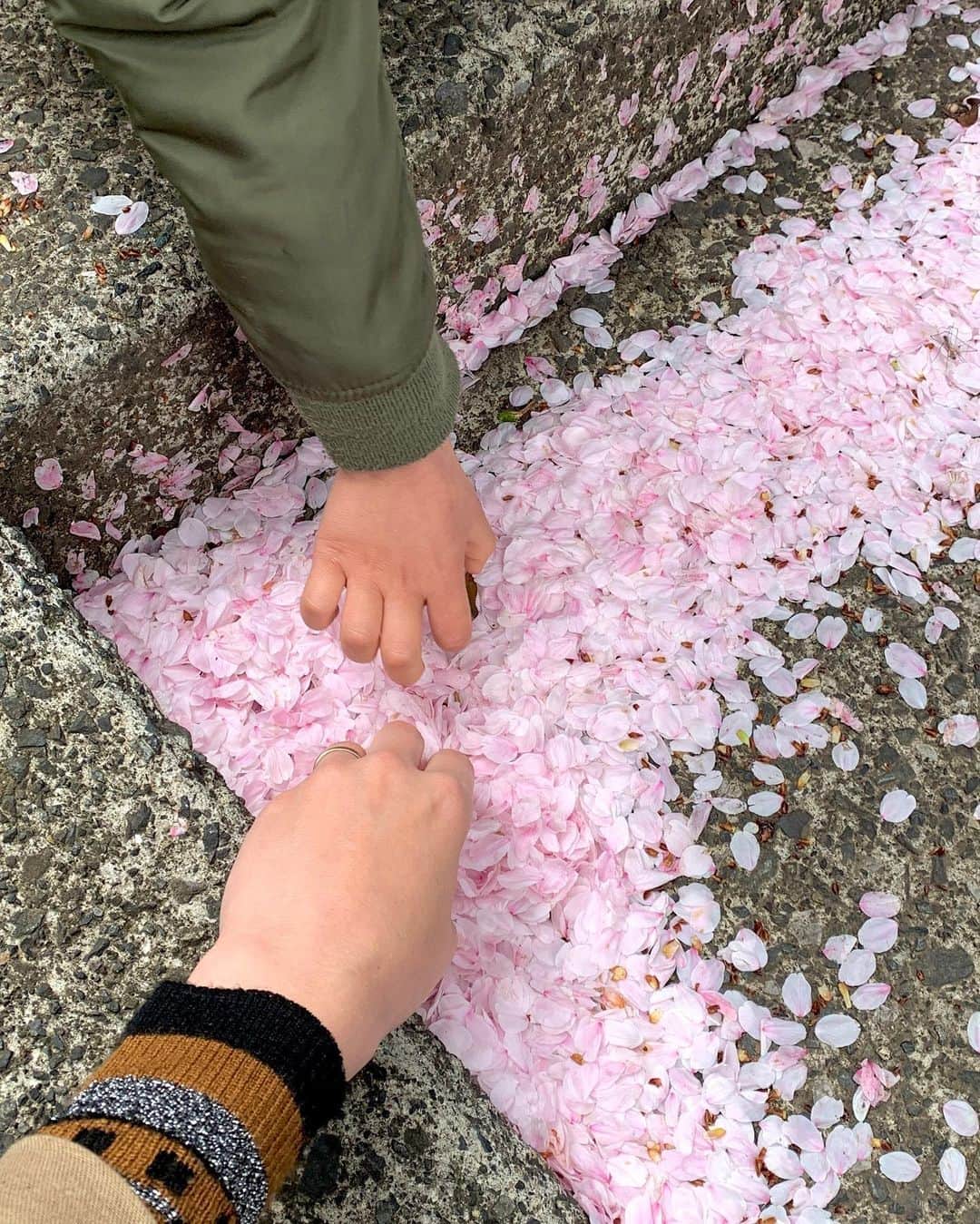 仲川希良さんのインスタグラム写真 - (仲川希良Instagram)「息子にとって初めての桜は生後2ヶ月と少し 世界はまだぼやけていたはずで 光がやってくる満開の梢を見上げながら 抱っこ紐の中で目を細めていました ・ 1歳はポテポテ歩く足元の桜が目に留まるたびに「さくら、さくら」とつまみあげていました 2歳はヒラヒラ舞う桜吹雪の下を「キャッチー！」と笑って走り回って ・ 3歳の今年は しとしと雨に散りゆくようすを呆然と眺め 「桜が減っちゃう……」としばらく心配になるほど落ち込んでいました ・ 感傷的になりがちなのは私譲りか ・ 1歳の息子が「はいどうぞ」と拾い上げた桜をプレゼントしてくれたとき こんなこともうしてくれないかもしれないから押し花にでもしようかとさえ思っていたのですが とりあえず今年も 「お母さん、はい」と手渡してくれました ・ ありがとう、優しい子 ・ ・ 4枚目はもはや面影皆無の生後2ヶ月 5枚目1歳 6枚目2歳 最後の1枚はつい先日 ・ 大きくなったね ・ ・ 新年度 体も心も ますます成長してくれることを願っています ・ ・ ・ #🌸 #桜 #育児」4月1日 1時10分 - kiranakagawa