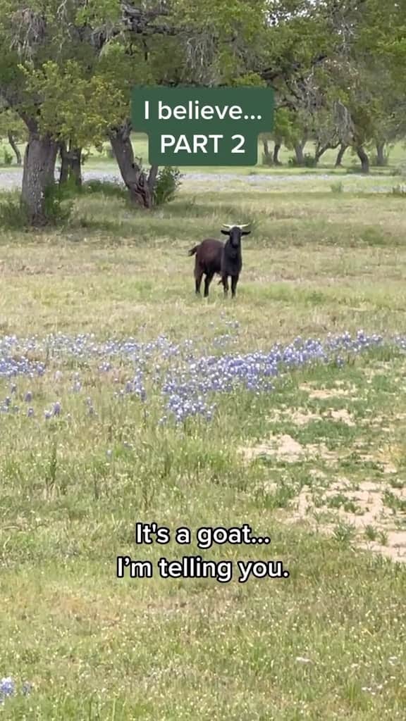 ジェームズ・ヴァン・ダー・ビークのインスタグラム：「Told you I wasn’t crazy! *(at least about this)   #goats #mysterysolved #ranchlife #notcrazy #goatsofinstagram 👈 never thought I’d ever use that hashtag 😂」