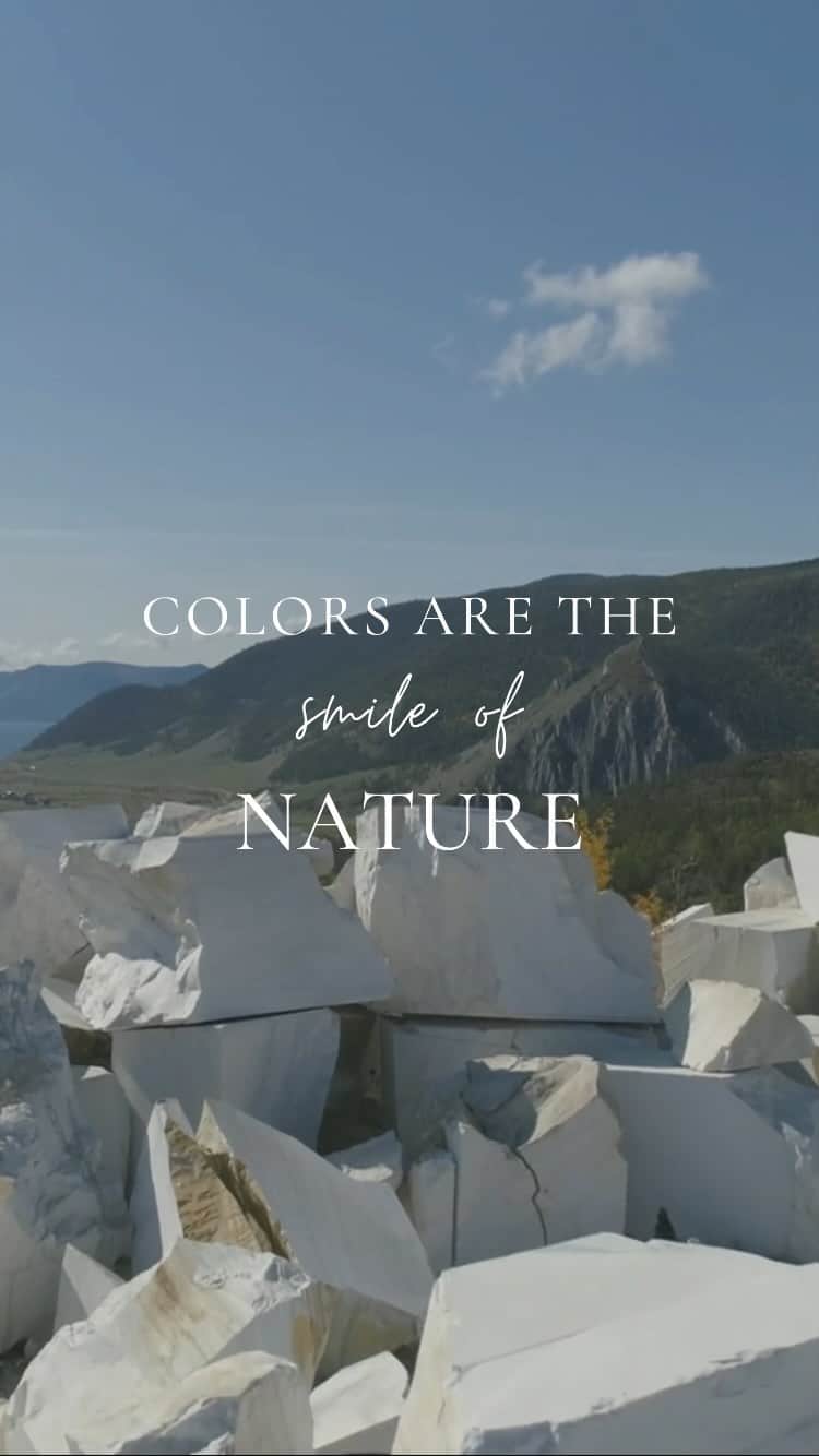 のインスタグラム：「We are planting HOPE 🌳 Did you know that in Calleen Cordero we donate trees for @treesforthefuture for every item sold 💚  #future #nature #planetcare #ambientalimpact #safetheplanet」