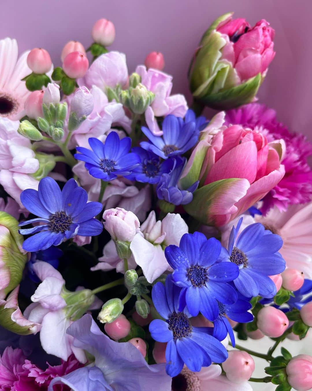 ティーナ・カリーナのインスタグラム：「先日、とっても素敵な結婚式にサプライズゲストとして歌わせていただきました🥰  こちらがお祝いする側なのにお花までいただき、お心遣いに感謝です💐  幸せな気持ちを沢山いただきました✨ 末長くお幸せに🥰  #結婚式#花束」