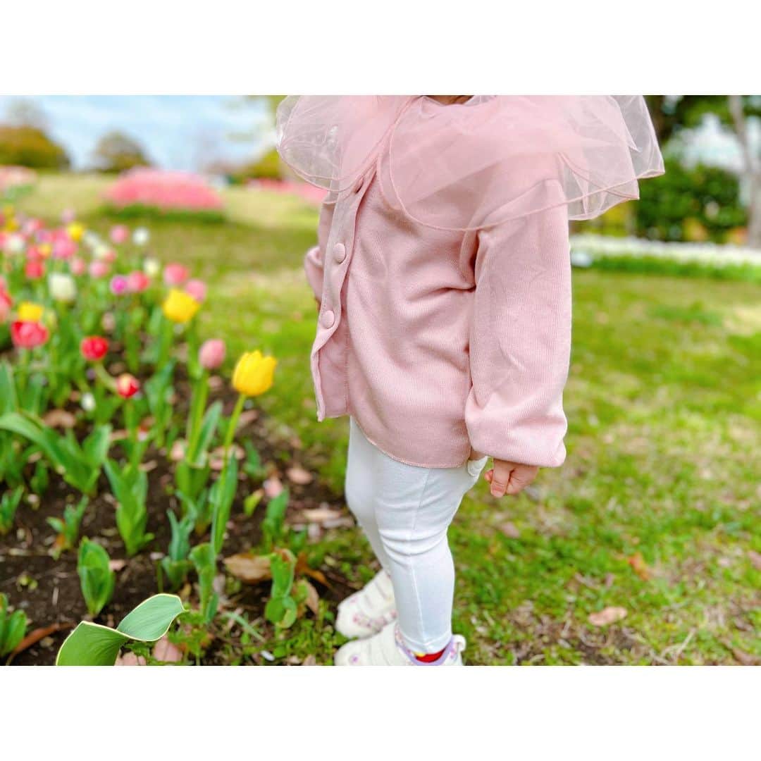 徳山沙季さんのインスタグラム写真 - (徳山沙季Instagram)「. チュールの襟がとっても可愛いカーディガン❀´- 可愛いと褒められることが多いのですが海外のベビーこども服を取り扱っている @joli.shop.2023 さんのものです♩ . 日本ですごす春が初めてなので桜もチューリップも新鮮なようで 目を輝かせながら「きれいだね～」と喜んでいますꕤ . . PR @joli.shop.2023  #子ども服通販 #子ども服コーデ #子ども服セレクトショップ #まなまなファミリー #りんくこーで #海外輸入品 #海外輸入セレクトショップjoli #女の子ママ　#むすめふく #チューリップ」4月1日 15時45分 - saki.whitesnow