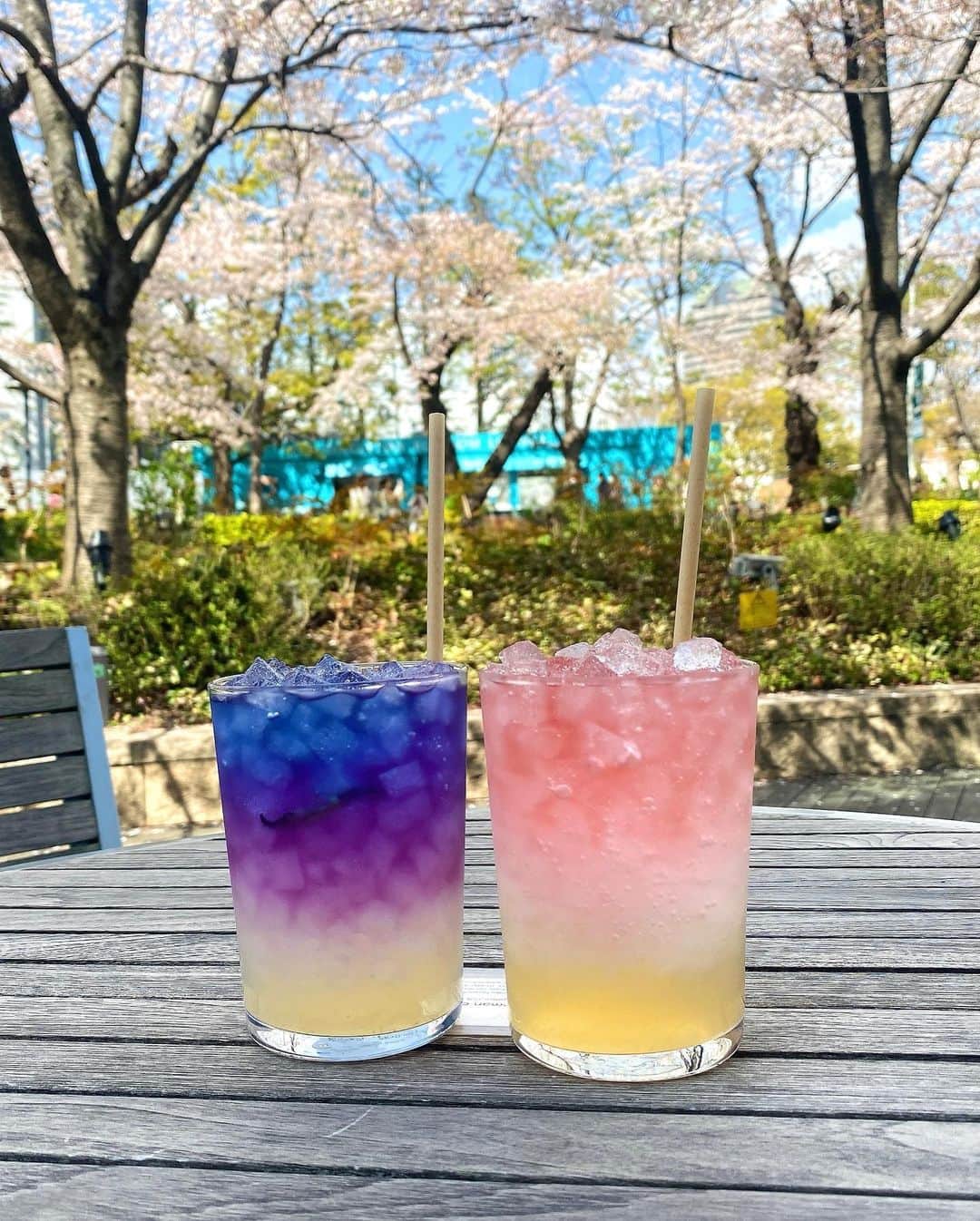 なつみさんのインスタグラム写真 - (なつみInstagram)「🌺+🌹+🫚 ロンハーマンカフェのテラス席🌸 桜並木を眺めながら🍹🤍  #ライブ配信#ライバー#八重歯#宅建士#宅建#宅地建物取引士#不動産営業#イギリス留学#バセドウ病#吃音症#過敏性腸症候群#🧢なつみ👻🍊#ファッション誌モデル#着物モデル#ロンハーマンカフェ#한국어공부#ronhermancafe#gravesdisease#stuttering」4月1日 15時49分 - natsumipeanuts