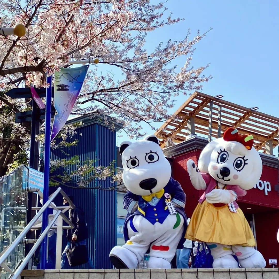 よみうりランドのインスタグラム：「お誕生日にいいお天気でお客様にごあいさつできてウキウキのグッド🤭  #4月1日はグッドのお誕生日 #ハッピーバースデー  #ウソじゃないよ  #よみうりランド  #グッド  #happybirthday#yomiuriland #good」