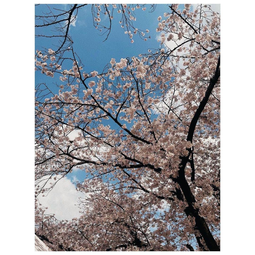 唯月ふうかさんのインスタグラム写真 - (唯月ふうかInstagram)「今日から4月🌸 新年度。新生活。新たな出逢い。 様々なスタートの月!!  皆様にとっても、自分にとっても、笑顔が溢れる充実した月になりますように…✨ 4月も、一緒に頑張りましょうね( ˶ˊᵕˋ)   #4月  #新学期  #新生活  #april  #春  #🌸 #桜   #唯月ふうか」4月1日 14時37分 - fuka_yuduki