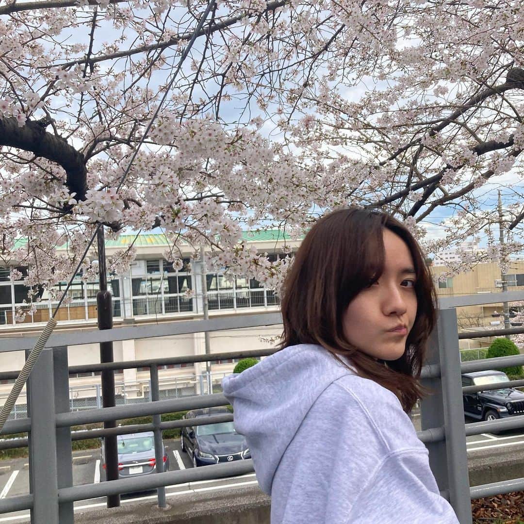 小島藤子さんのインスタグラム写真 - (小島藤子Instagram)4月1日 14時37分 - fujisan1216