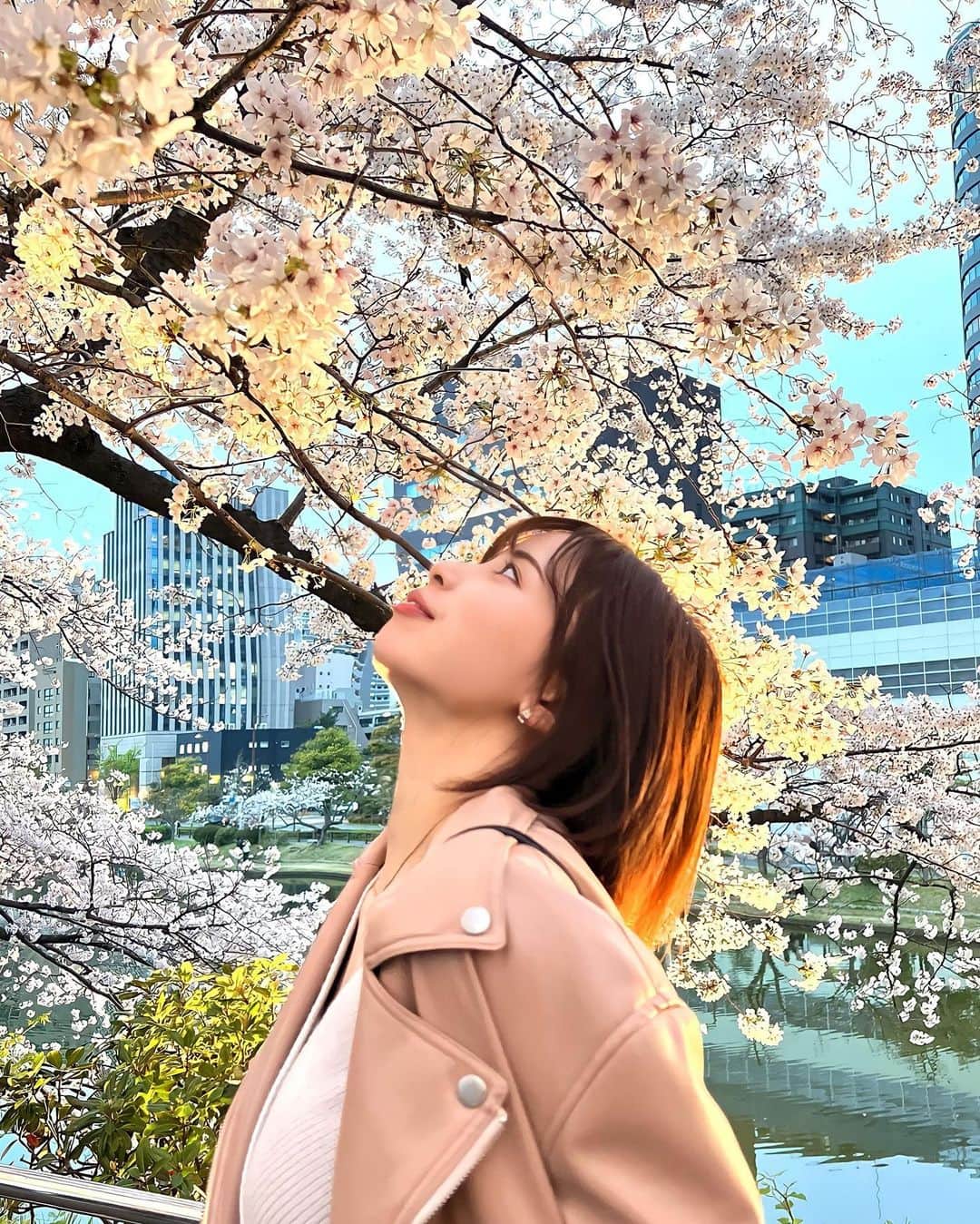 蒼乃茜のインスタグラム：「桜咲く季節🌸 まだ散って欲しくない、、、 皆んなはお花見しました？😚  昔は花より団子だったのに 花がこんなに綺麗で感動する。  昼桜も夜桜もまた違って綺麗。  #桜咲く #お花見  #福岡城さくらまつり #桜スポット  #夜桜ポートレート #団子より桜」