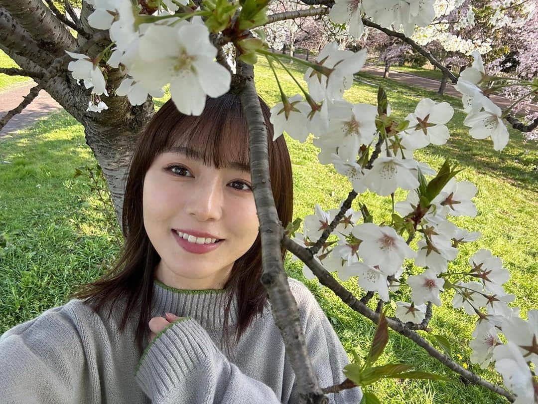 神野友亜のインスタグラム：「4.1  皆さま、こんにちは。  今日は撮影でした。 白い桜と…📽  4月もよろしくお願いします‼︎」