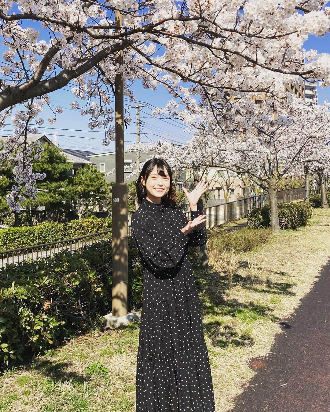 Negiccoのインスタグラム：「「なじラテ」生放送終わりに桜と撮影しました。 #なじラテ #Kaede #Negicco #桜」