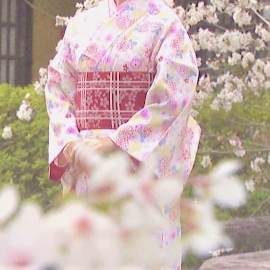 木村那津美のインスタグラム