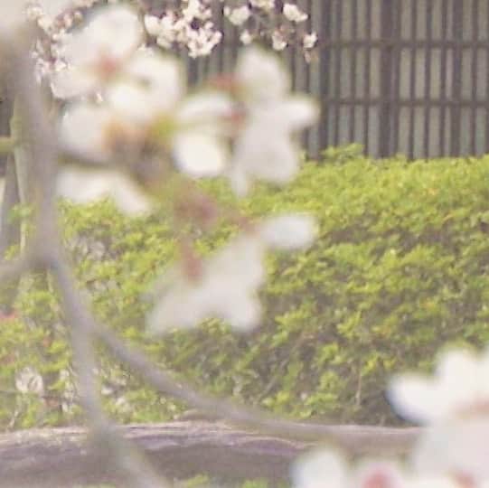 木村那津美のインスタグラム