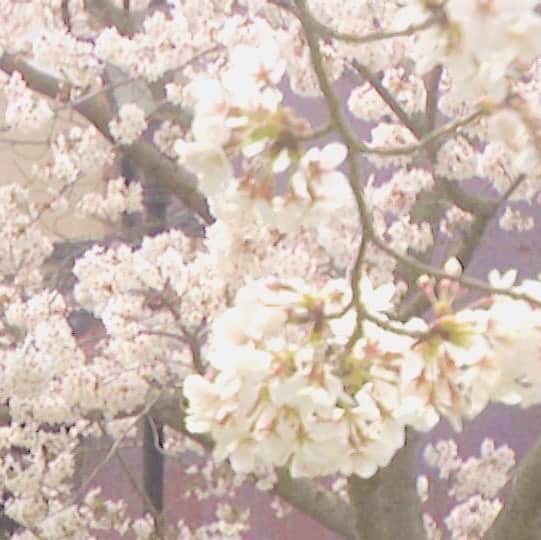 木村那津美のインスタグラム