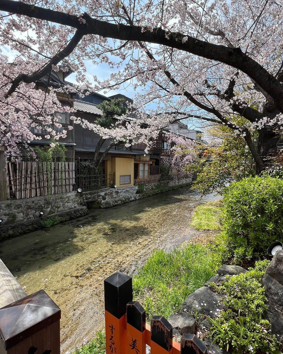 Hiroe Hiranoさんのインスタグラム写真 - (Hiroe HiranoInstagram)「ROAD TRIP IN JAPAN🇯🇵  #京都 の #祇園白川 へ。  桜と空のグラデーションがなんとも美しく🌸  京都人おすすめのお好み焼き。 『#祇園たんと』  お好み焼きが大好物なアメリカ人夫😂  行きたかった『SHINMONZEN HOTEL 』も💎 @theshinmonzen   海外からの旅行者がたくさん❣️ 至るところで桜が満開です✨  みなさま、素敵な週末を💛  #roadtrip #birthdaytrip  #trip #explore #spring #春 #旅」4月1日 15時20分 - hiroe_hirano