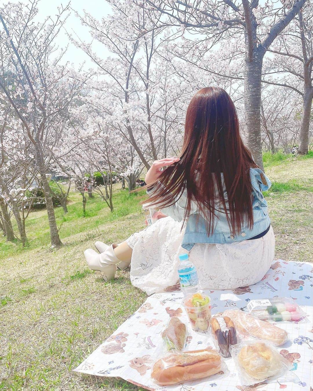 日比野友香のインスタグラム：「お花見ピクニック🍡☁️𓈒 𓂂𓏸       だぁーい好きなパンと、フルーツ、花見団子を買って お花見しました🕊 ͗   桜ってなんでこんなに可愛いのか…癒されました🥺         @rollen_official さんでトリートメントして頂いたから、髪の毛の調子が良くて最近はストレートヘアを楽しむことが多いです💭🫶🏻  Rollenさんの髪質改善NiLトリートメント🪄  トリートメントした翌日以降も髪の毛いい感じになるよ〜 と言われてたの、今しっかり実感してる❕   いい感じです🥰                       #ピクニック  #おしゃピク  # #picnic  #picnicday  #picnictime  #日本  #japan  #桜  #cherryblossom  #sakura  #公園  #お散歩 #春服  #spring  #springfashion #ootd  #ootdfashion  #code  #coordinate  #fashion  #ストレートヘア  #トリートメント #髪質改善 #髪質改善トリートメント #ヘアケア  #メンテナンス #美容室  #神戸女子  #kobegirl」