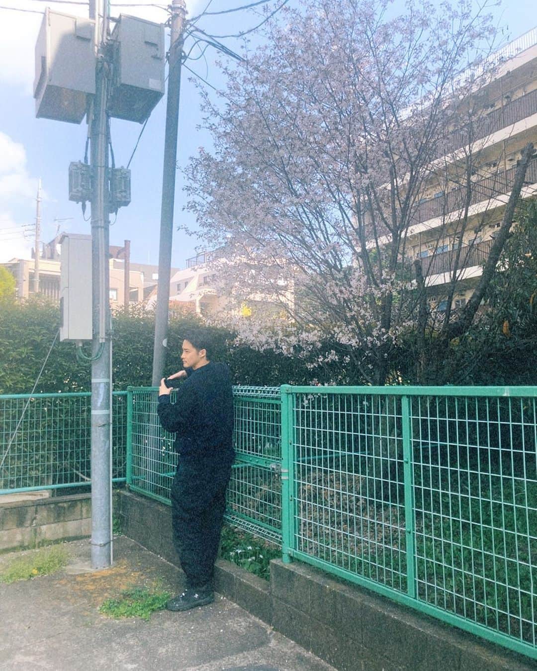 白石隼也さんのインスタグラム写真 - (白石隼也Instagram)「桜を撮る白石を撮りました！(マネージャー)  #🌸 #フィルム #filmphotography」4月1日 15時43分 - s_shiraishikun