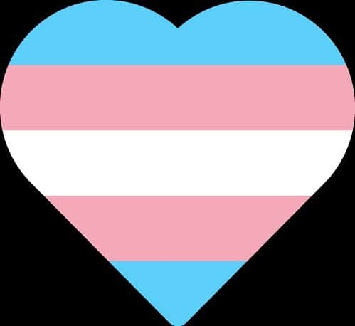 クリス・コルファーのインスタグラム：「Happy #TransDayOfVisbility to all my friends, family, and chosen family in the trans community! I am in constant awe of your beauty, bravery, and talent!」