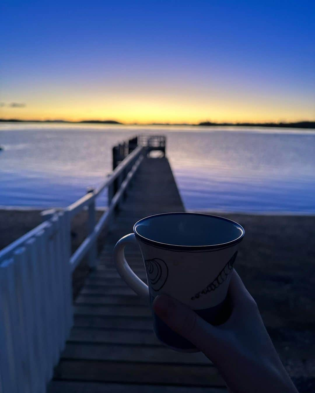 ヘイリー・ウェステンラのインスタグラム：「good morning from me and my hot coffee and full heart✨☕️🐬💛」