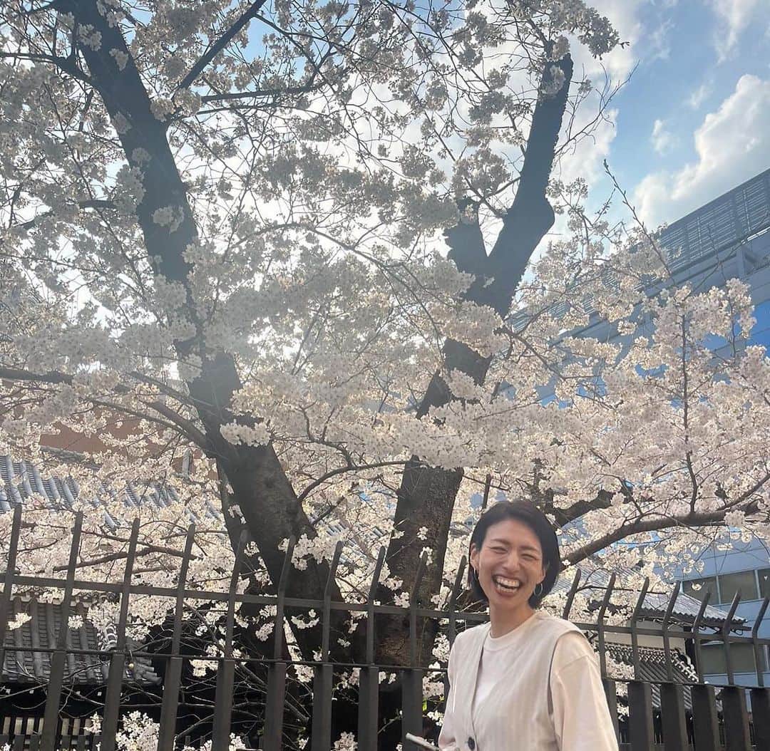 峯村沙紀さんのインスタグラム写真 - (峯村沙紀Instagram)「🌸April Start🌸 ・ ・ 私が1年の中で1番大好きな4月が始まる💝  自分が生まれた月ということもありますが、ぜーんぶ新しい気持ちでスタートできる気しかしないこの季節に🌸  寒い冬を超えて咲く桜は本当に美しい🌸💕  桜も大好きです❣️  2022年度もたくさんの経験をさせていただいたり、ご縁をいただけたことに感謝し、2023年度は日常で起こること、出会う人、全てに感謝の気持ちを忘れず、自己成長、進化していきたいと思います🌟💖🌟  そして、沢山の方へ元気と笑顔と愛をお届けできるよう日々過ごしていきます💝  今年度も、峯村沙紀をよろしくお願いいたします❣️  #新生活 #4月 #4月生まれ #4月18日生まれ #1990年 #春が好き #桜 #🌸 #桜が好き #進化の年 #成長の年 #感謝の年 #笑顔 #2525 #愛 #love #今年度もよろしくお願いします」4月1日 7時40分 - minemuuuno.insta