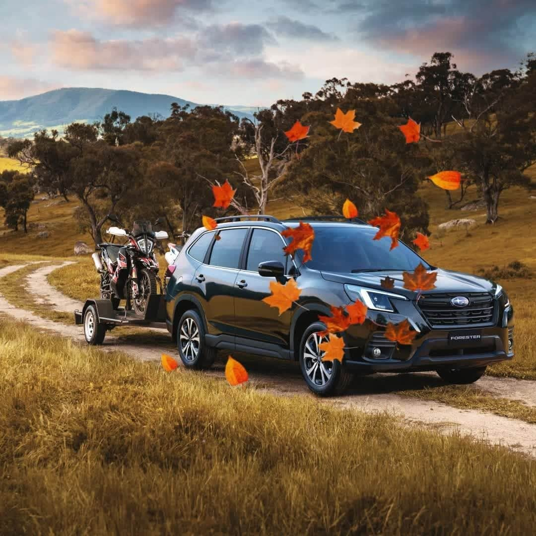 Subaru Australiaのインスタグラム：「Dreaming of your Autumn adventure in the Subaru Forester? ⁣ Campsite ✅ Swag ✅ Bikes ✅ Playlist ✅ Snacks ✅ Esky ✅ Uno ✅​⁣ ⁣ #SubaruAustralia #SubaruGenuineAccessories」