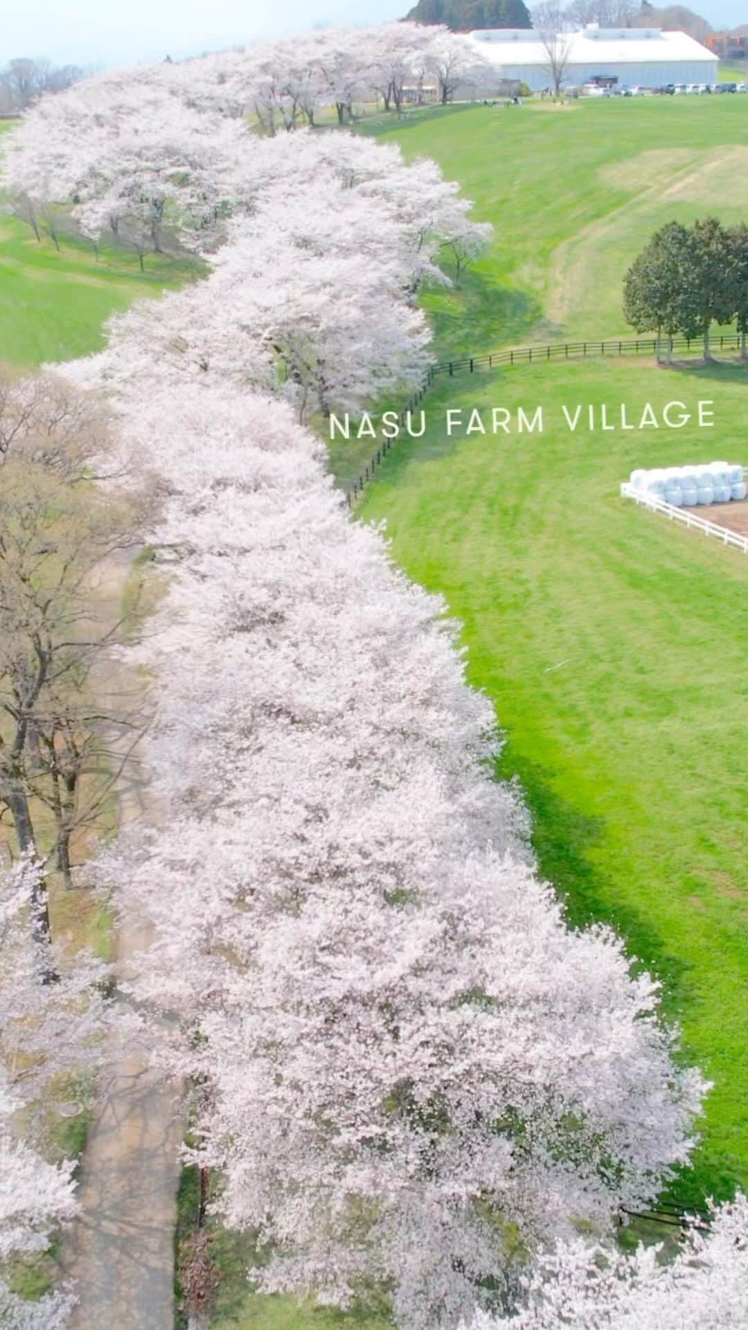 紗栄子のグルメインスタ