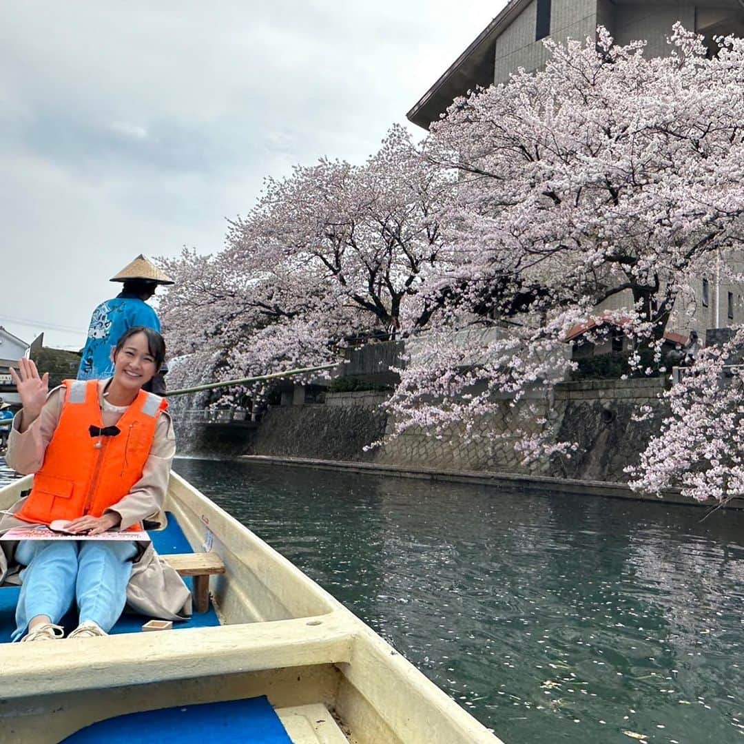 浦口史帆のインスタグラム：「🌸🍶🌸🍶🌸  ４月スタート🏃‍♀️ この週末どこにおでかけしようかな〜🤔💡 と迷っている方、岐阜県#大垣市 はいかがですか？✨  大垣の桜は今が見頃🌸 #水の都おおがき舟下り では、 川のせせらぎを聞きながら30分ほどかけて、ゆった〜り桜を愛でられます🥰  春の柔らかな陽射しを浴びながら小舟でゆらゆら揺られるのも、心地良い…🥱🌸💕  明日2日(日)までは、#かわまちテラス も開催中✨ ハンドメイド雑貨やグルメ、ファッションなど水辺に14店舗が出店🥳🤍 生産量日本一の大垣の枡で、岐阜の地酒を楽しむこともできますよ〜🍶💗  毎週金曜日、スイッチ！の中継を担当してきましたが、春からは入社２年目の鈴木くん(@suzuki_shota_ )にバトンタッチします☺️ 体を張って(?!)体当たり中継をしてくれるはずなので、どうぞお楽しみに😊💗応援よろしくお願いします📣  今日明日おでかけする方も、家でのんびり過ごす方も、新年度に向けてエネルギー補充できますように🐰🌷🌼 良い週末をお過ごしくださいね😊💓  #水門川 #大垣観光 #岐阜お花見  #大垣城 #🍶」