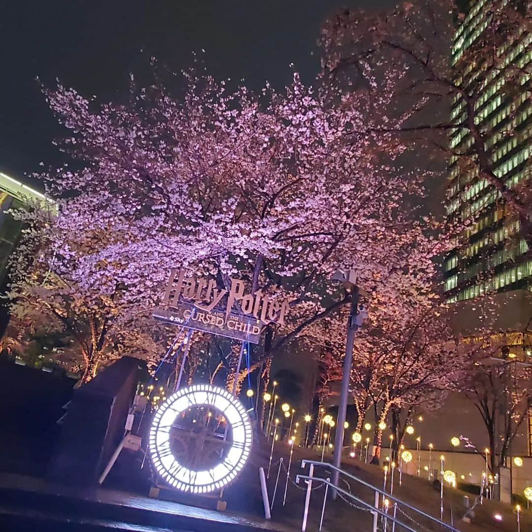 常世晶子さんのインスタグラム写真 - (常世晶子Instagram)「6年半お世話になっていたTBS「イベントGO!」「イベントGO!+」※前「BLITZ INDEX」)を、 3月末でスタッフごと卒業しました🌸  一番左…folcom平元D. 隣…folcomAD谷さん  毎週TBSで顔を合わせて笑い合って、とても楽しい収録でした。 こんなに長く携わらせてもらえる番組、なかなかないー。  レギュラーラジオも6年半に突入。そもそもSASUKE は何年やっているだろう…？  ご縁ってありがたいです。  帰りに撮った赤坂の桜。雨でしたが綺麗でした🌸舞台「ハリー・ポッター」大好評上演中です🙆‍♀️  皆様に感謝申し上げます✨✨ありがとうございました✨✨  #TBS #イベントGO! #イベントGO+ #BLITZINDEX  #ナレーター #常世晶子  #桜の季節 #赤坂 #夜桜 #🌸  #卒業」4月1日 8時53分 - tokoyo_shoko