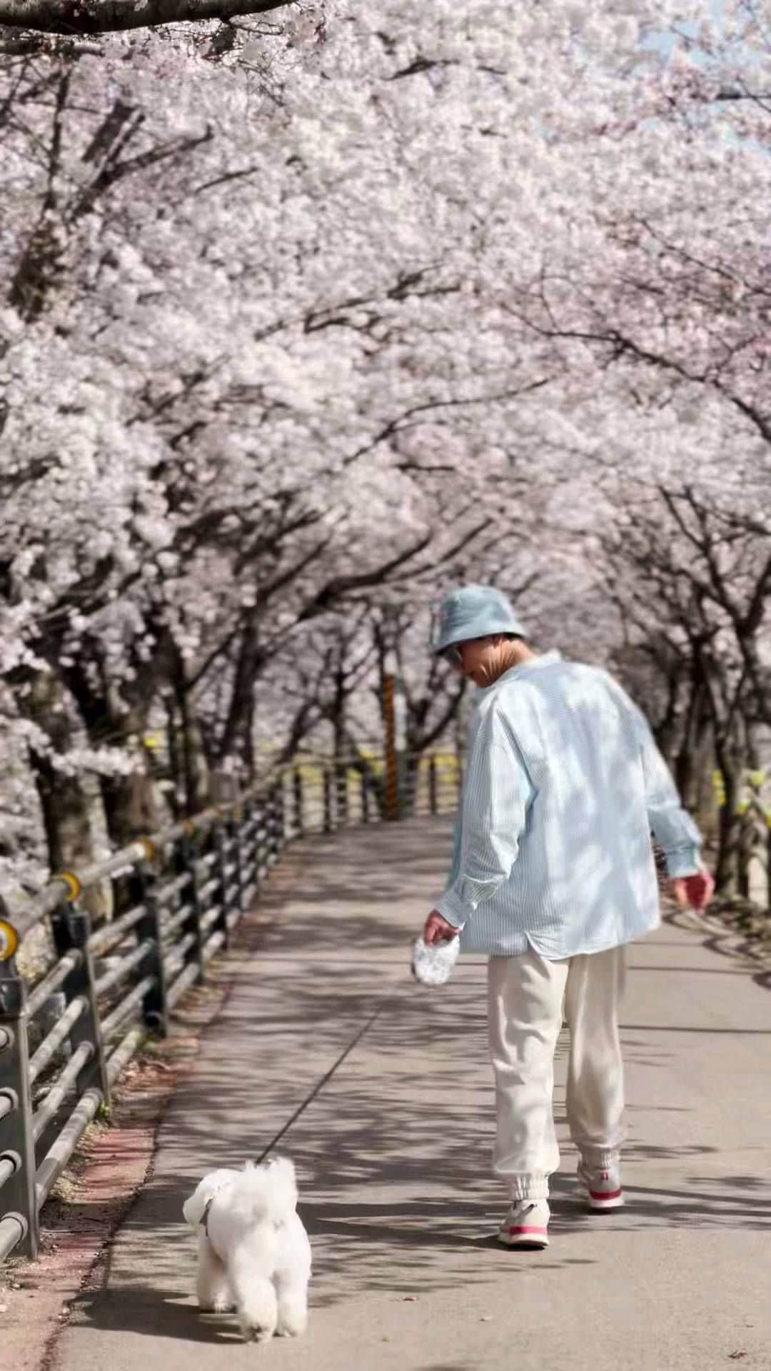 イ・ゴンミョンのインスタグラム：「#강하남 #첫번째벚꽃구경 담번엔 밤벚꽃을 보여드립죠~~~^^ #꽃같은주말보내세요~~~^^」