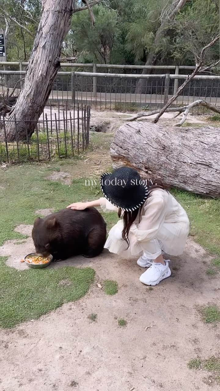 氏家夏乃のインスタグラム