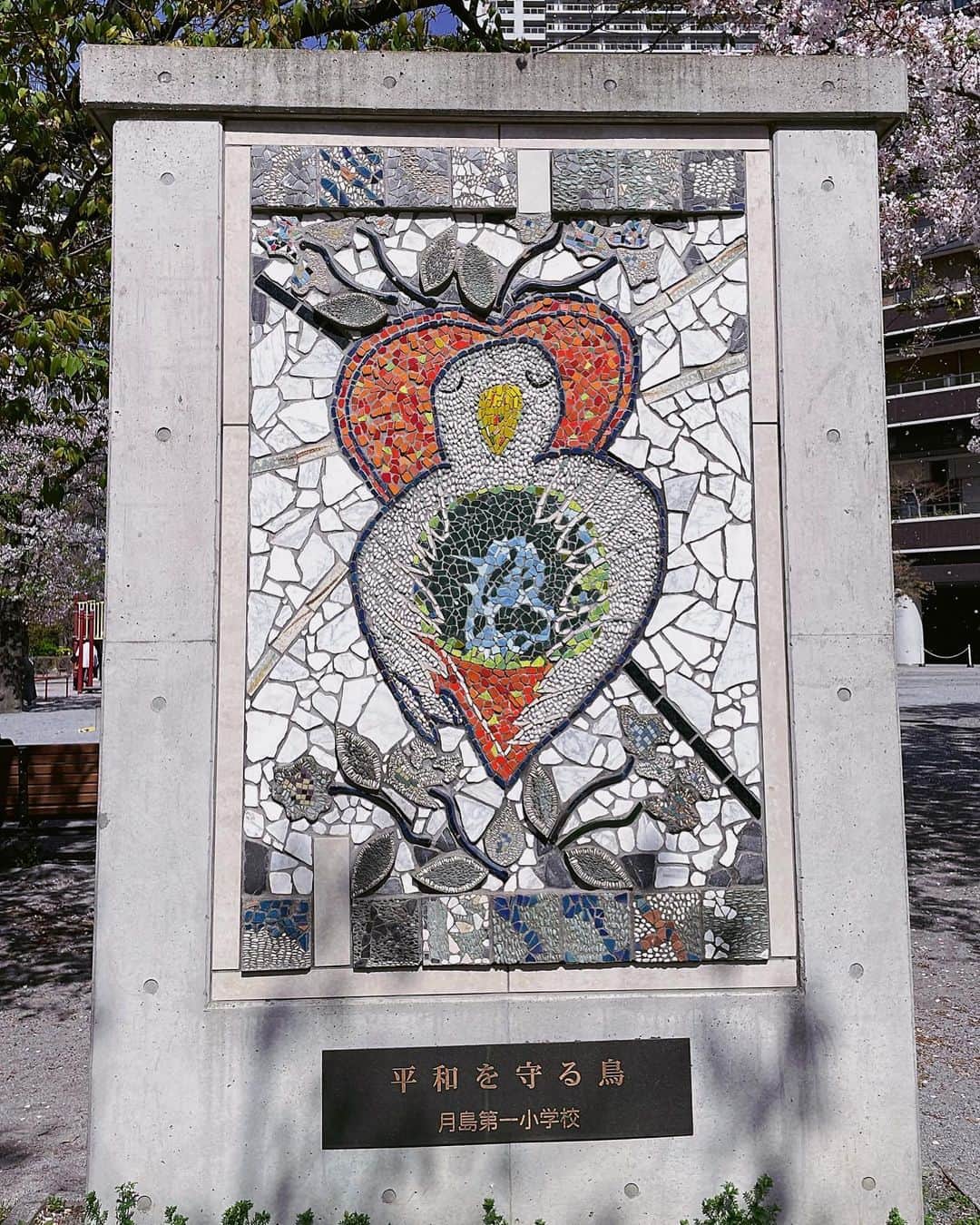 松浦有希さんのインスタグラム写真 - (松浦有希Instagram)「この場所を通るたび、 いつも見るのが楽しみな 平和を守る鳥🕊 日向ぼっこして座ってる鳩🐦 街を見守ってください🌸 #月島第一小学校  #平和 #鳩 #桜 #桜2023」4月1日 9時54分 - 12bambi12_yuki_matsuura