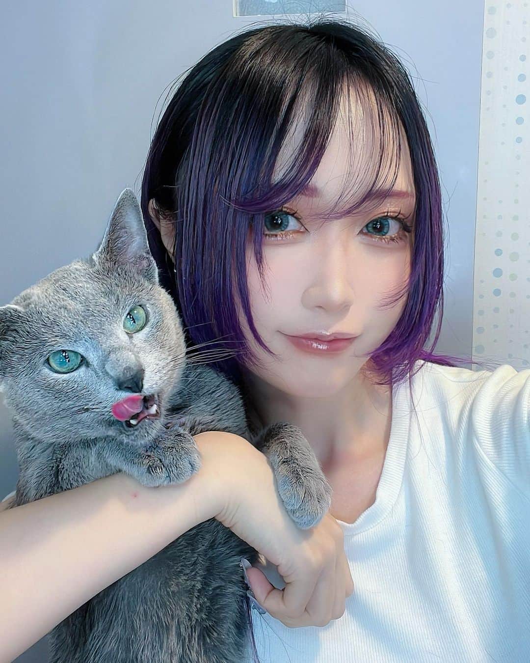 のインスタグラム：「🐱  おはようございます  ネコチャン  🐱  #cat  #catstagram  #morning  #catlover  #catlife  #cosplayer  #cosplaygirl  #cosplaygirls  #cosplaygirlsexy  #cosplayselfie  #cosplaysexy  #cosplayjapan  #instacat  #selfie  #like #instalike  #likesforlike  #followersnetflix  #followforfollowback  #followfollow  #model  #gamer  #猫のいる暮らし  #猫  #おはよう  #猫のいる幸せ  #猫のいる生活  #猫バカ  #猫部  #猫写真」