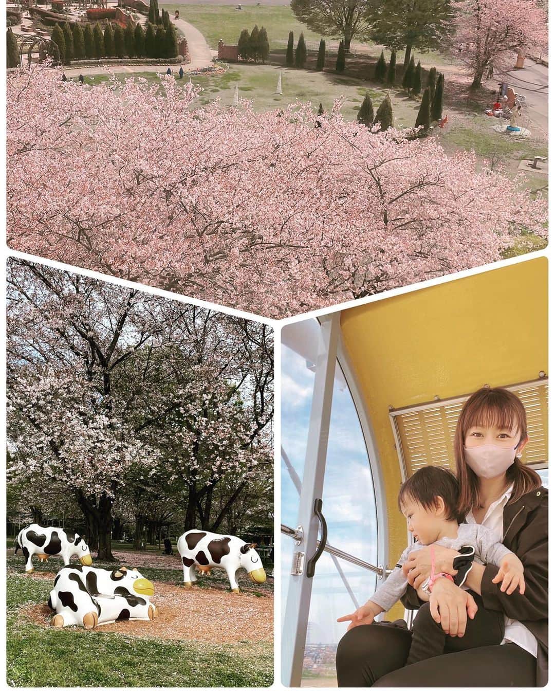 森本さやかさんのインスタグラム写真 - (森本さやかInstagram)「#観覧車🎡 てっぺんから見る桜が豪快❀·°❀·°(✿´ ꒳ ` )  遊園地も動物園も！ 子供たち一日中楽しんでいたなぁ𓃒𓃘𓃹𓃱𓃰𓃟   #ずっと見ていられる #マンドリル #桜の季節  #東武動物公園」4月1日 10時12分 - sayakamorimoto1011