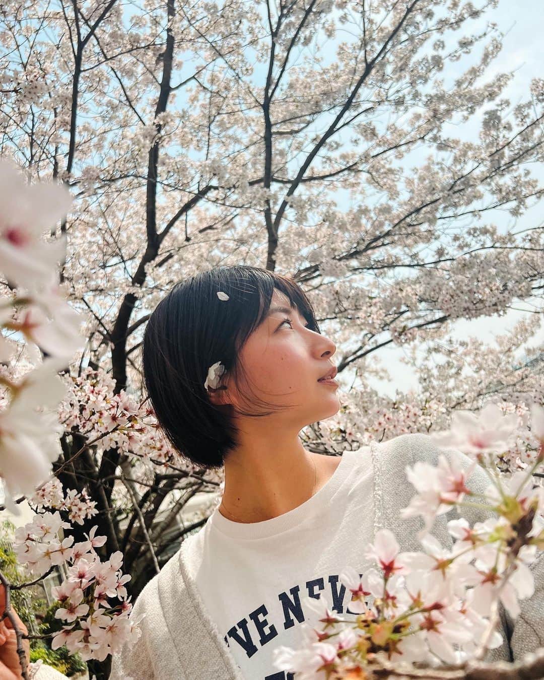 稲富菜穂のインスタグラム：「髪切りました💇‍♀️  こないだ天使が写真撮ってくれました🤳 天使ママと天使の天才ぶりに震えました🤳 お洒落に撮ってくれた天使有難う🥺 明日も天使たちとお花見🌸いぇい✌️  #髪切りました」