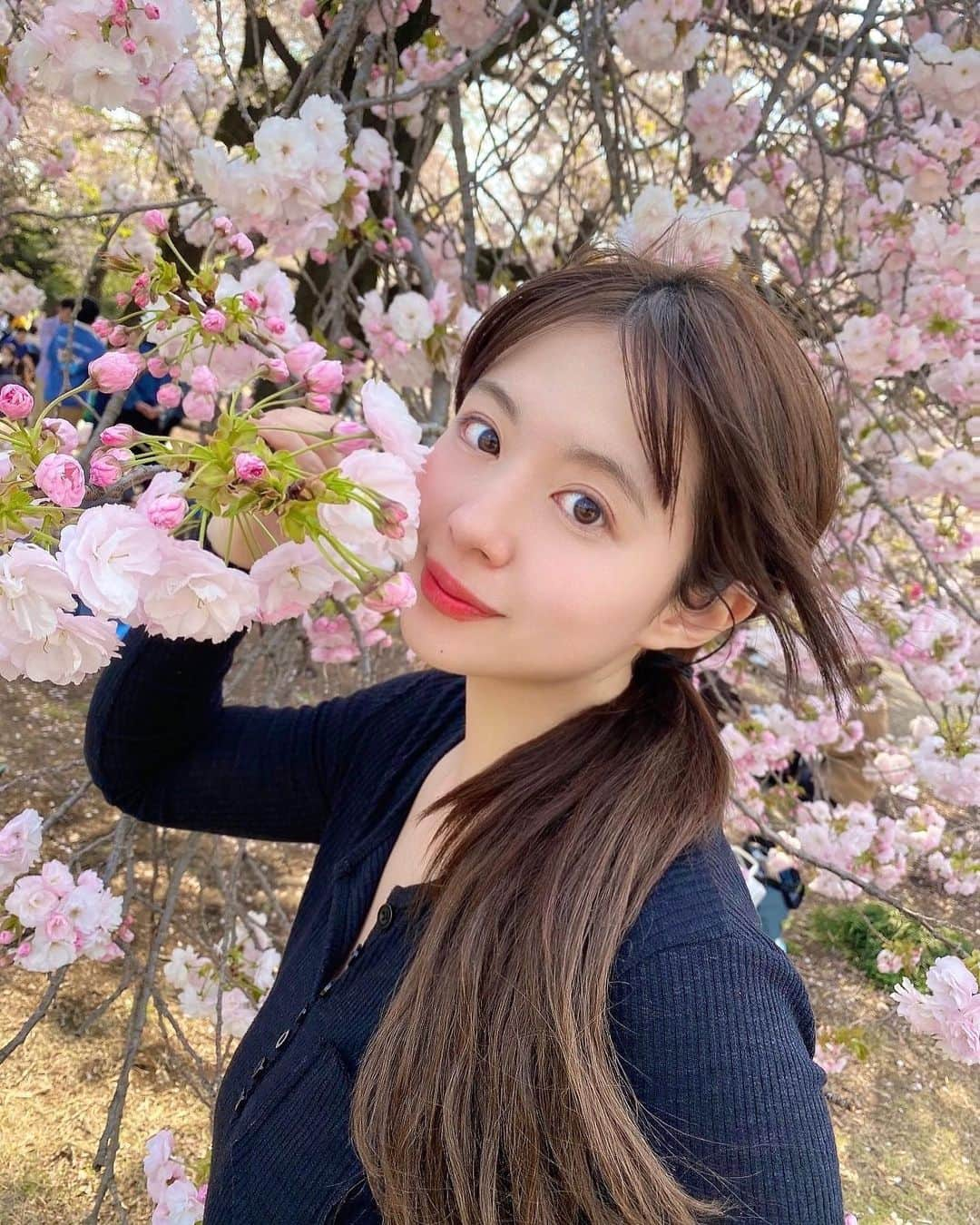 綾瀬りえさんのインスタグラム写真 - (綾瀬りえInstagram)「4月は新しい自分を迎える時期🌸  仕事ミーティングがてら、新宿御苑に寄りましたっ  レジャーシートひいてて家族たちやカップルがご飯を食べてたり寝てたりしてて、のどかなひと時を味わえました🍀  風情がある新宿御苑✨またいきたい✨ 今桜の季節は入場制限があり事前予約しておかないと入れないよん。  #新宿御苑 #桜スポット #桜 #花見スポット #花見 #新宿 #桜ポートレート #癒しの時間 #東京 #shinjuku #shinjukugyoen #portrait #cherryblossom #tokyo #japan #カメラ女子 #インスタ映え #インスタ映えスポット #幸せな時間 #桜が好き」4月1日 15時52分 - ayase1013rie