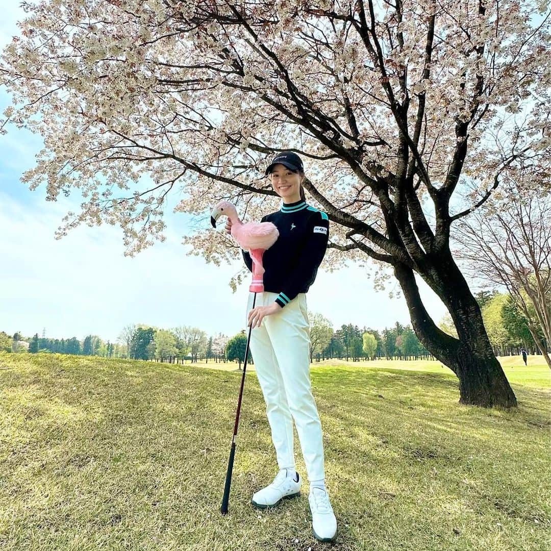 三枝こころさんのインスタグラム写真 - (三枝こころInstagram)「@junandrope ミンゴカバー🌸 桜と一緒に撮影📸 お花見ラウンド。 ドライバーあがり3ホール掴んだ感じ。 パターも少しグリッププレッシャー強くしたら良くなってきてよかった。 試合の練習ラウンド行けなくなったから、ぶっつけ本番だけど🏌️‍♀️ 天気がいいことを祈る。 #ママゴルフ #ゴルフ女子 #ドライバー #junandrope  #ヘッドカバー #フラミンゴ #お花見ラウンド #桜 #ジュンロペ」4月1日 10時51分 - kokoro_golf