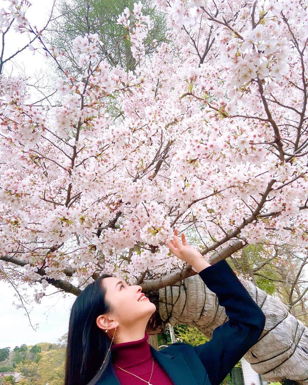 小南満佑子のインスタグラム：「.  Hello April🤍  新年度。  新たなスタートの日。 別れや出逢い。 不安や期待。 色々と渦巻いて始まる時期だけど なんとかなるし、なんとかできる！ 前向きに前向きに…✨  皆さんにとって、 輝かしいスタートとなりますように🌸  #新年度 #新生活 #桜 #お花見  .  ／ 📲小南満佑子オフィシャルファンクラブ 『Mayuko The World』会員募集中🌏✨ プロフィール欄のURLから簡単にご登録頂けます。 是非"YOU-RUN"(会員名)になって応援お願いします！ ＼  #japan #japanese  #singer #opera #musical #concert #live #dress #hairmake #fashion #cosmetics  #actress #drama #movie #mc #artist #女優 #表現者 #歌手 #司会 #ホリプロ #小南満佑子」