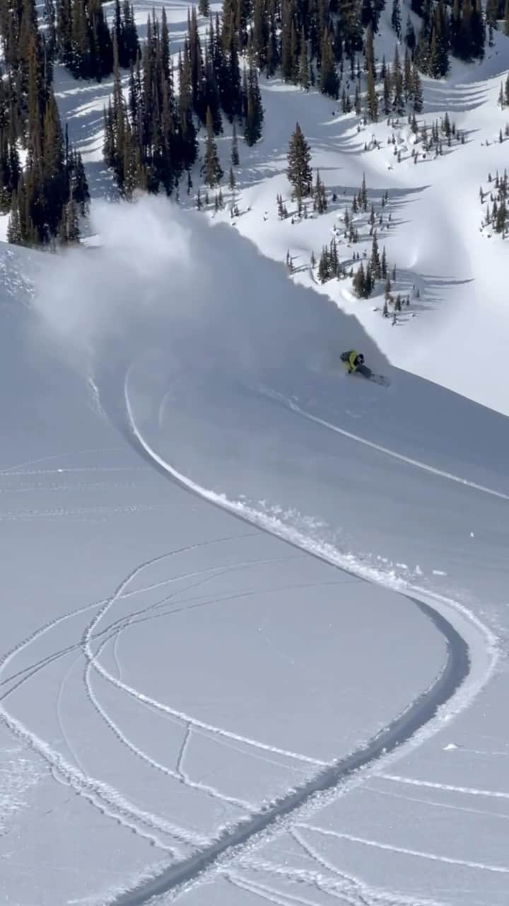 片山來夢のインスタグラム：「Good powder, even better food 🍽️ @mikewiegeleheli」