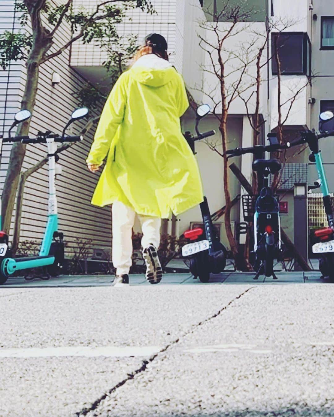 MIHOのインスタグラム：「【これホント便利🛴】  @luup.official   海外ではよく見るキックボードや自転車の時間貸し🚲🛴✨  パリは石畳がゴツゴツしてるので危機管理能力が先にたった、笑  そのキックボードが日本にもあって、去年ハマってから、これいいよー！とみんなに勧めるループ、みんな気になっているけど乗ってない🛴  昨日2日まで60分無料だよー！ってストーリーにのっけたら興味津々メッセージたくさん！  ちょっと人通りが少ないところで借りて練習してみるにはいい機会です  すごいメッセージきた☺︎  まだ基地がないところもあるからたくさんできるといいな  アプリをダウンロードして、乗る場所と返す場所決めたらあとは、アプリ内で鍵もかけられるので途中下車も大丈夫  夜桜みにいったり、歩くのめんどくさい時、点々と買い物するとき、スーパーいったりと  至る所に、これポートなん😹？って笑えるくらいいろんなところにありマス  コツはサイドミラーをちゃんと合わせて、最初蹴りだしから、乗るのはスケボーみたいな感じ  あまりアクセル回さないようにしっかりハンドル両手で持って、交通ルール守れば大概の道はオッケー☺︎  私は運転するので、あぶない自転車をしっている、笑  あぁはなんないぞ！と言い聞かせて乗ってマス  くれぐれも気をつけて☺︎  #luup  #4/2まで60分無料 #あわてて投稿しちゃうよね #電動自転車 #電動キックボード #今の所運転免許必要です #ちょいのり #飲酒運転ダメだよ #歩道もダメ #ループの乗り方 #交通ルール守ってね #キックボードこわかったら自転車あるよ #キックボード派です #ちょこっとチャレンジ #自撮りって難しいんだね #スーパーからのスイスイループ #よい一日」
