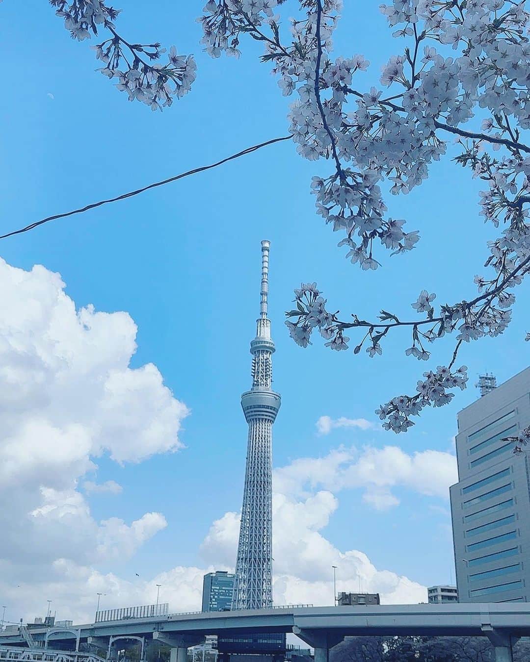 谷口彩菜さんのインスタグラム写真 - (谷口彩菜Instagram)「４月もよろしくお願いします🤍 . 浅草で撮ったこの写真 空がとっても綺麗で桜もうつってとれてお気に入り😌🤍🌸」4月1日 11時14分 - taniguchi_ayana