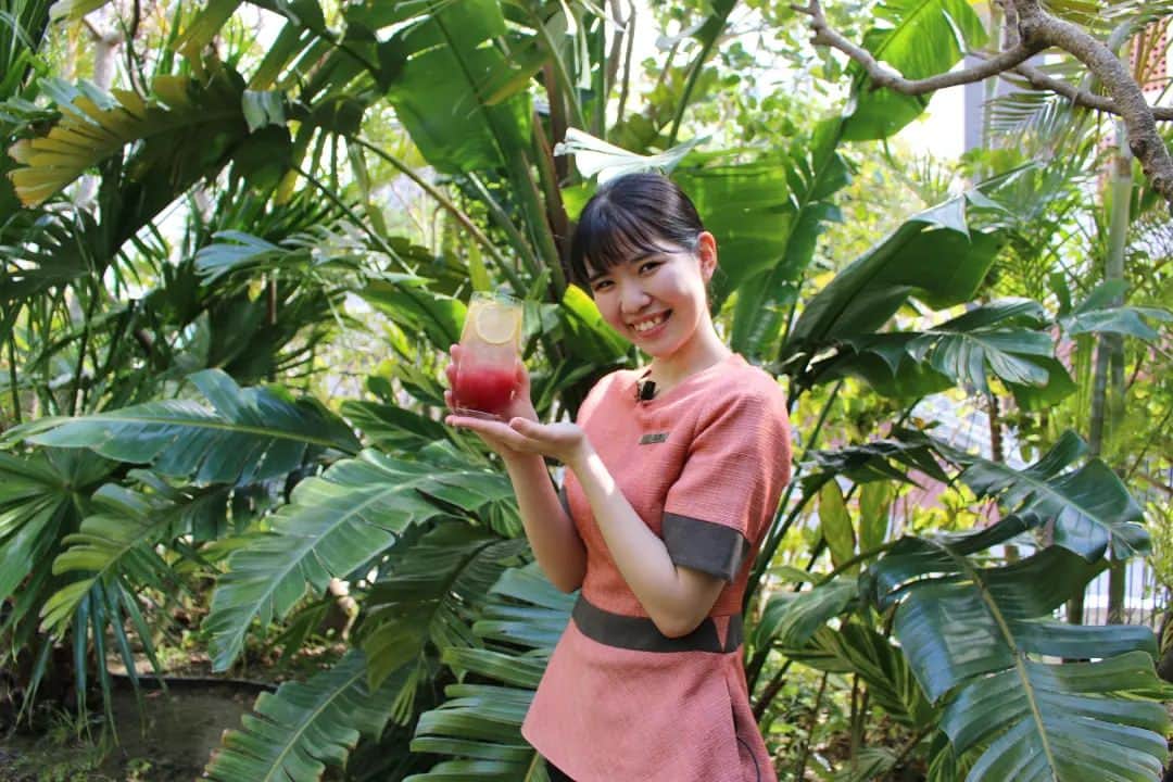 Hyatt Regency Naha Okinawaのインスタグラム：「#HappySpring with Cranberry Apple Soda!  当館１階 #thelounge では本日から、#季節の限定ドリンク 「Spring Breeze（スプリングブリーズ）」をご提供中。  #クランベリー と #すりおろしリンゴ を強炭酸で割ったドリンクで、隠し味の特製シロップとレモンスライスが甘酸っぱさを引き立ててくれます。  #春風 のように爽やかな１杯で、ザ・ラウンジでのひとときをお愉しみください🏨  #🍎 #🍋 #HyattNaha #HyattSmile」