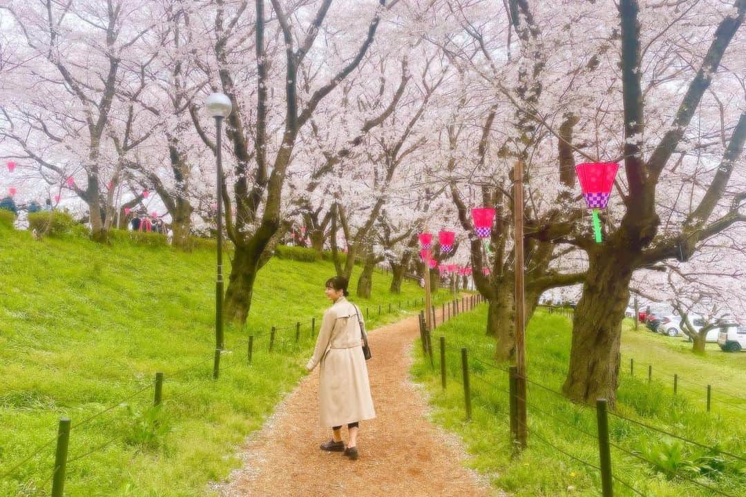 遥羽ららさんのインスタグラム写真 - (遥羽ららInstagram)「.   あっという間に4月🌸 今日は暖かくて過ごしやすいですね☺️  菜の花と桜のコラボがとっても綺麗でした🌼  #桜 #菜の花 #権現堂 #花よりポテト🍟🤣 #ロングポテトのもちもち感 #大好き♡」4月1日 11時27分 - rara_haruha