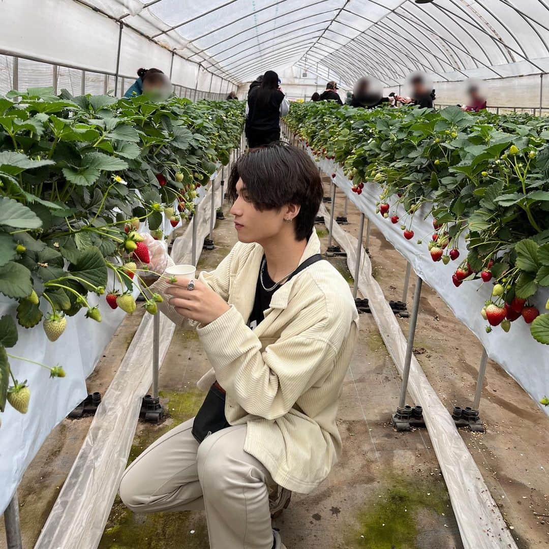 飯泉遥斗さんのインスタグラム写真 - (飯泉遥斗Instagram)「初めていちご狩りしてきたのー！ 🍓　 今日から4月も始まりますね！ 新生活頑張ってね！！  #いずはる #02line #02 #fyp #いちご狩り #いちご #春 #春コーデ #spring」4月1日 11時33分 - haruto_protea