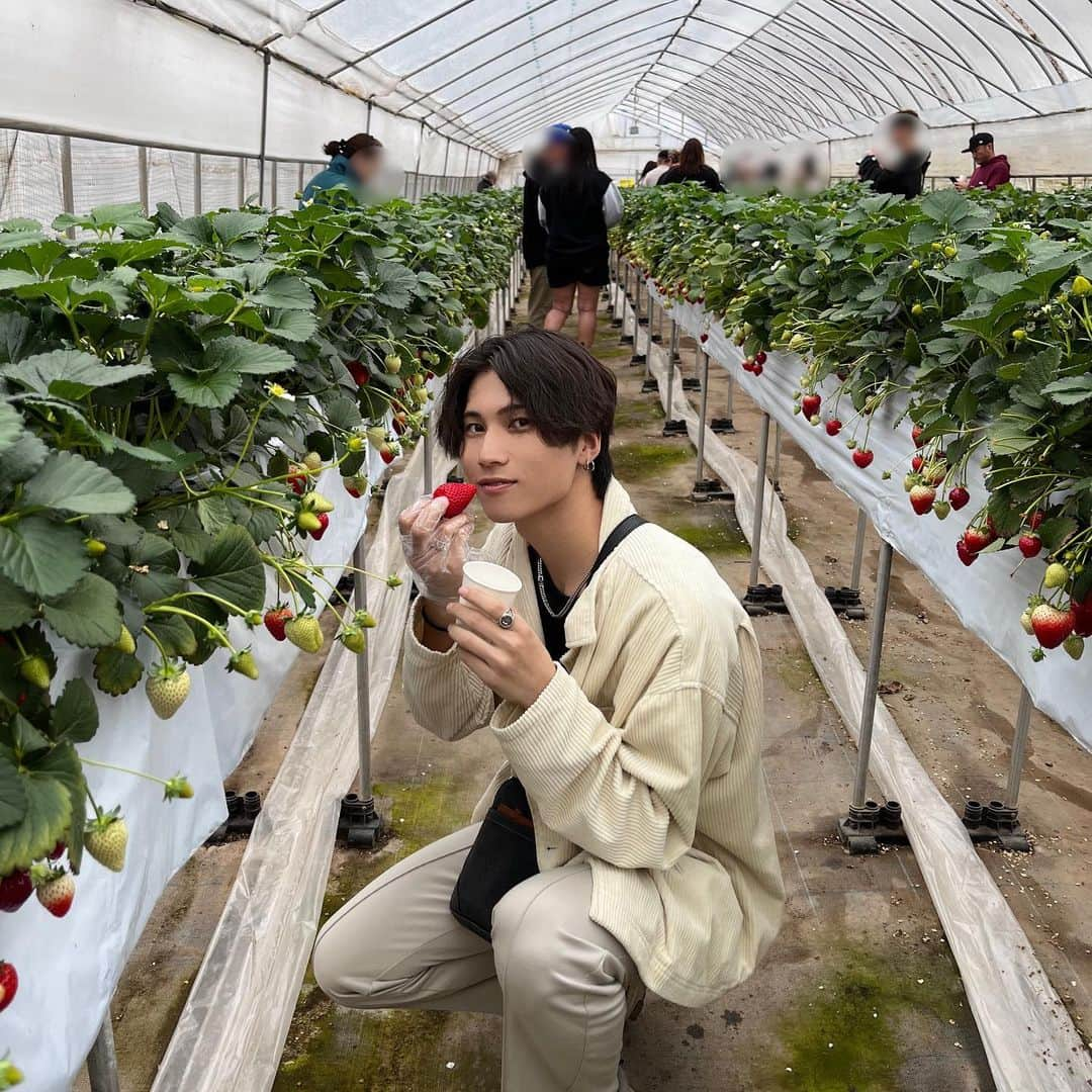 飯泉遥斗さんのインスタグラム写真 - (飯泉遥斗Instagram)「初めていちご狩りしてきたのー！ 🍓　 今日から4月も始まりますね！ 新生活頑張ってね！！  #いずはる #02line #02 #fyp #いちご狩り #いちご #春 #春コーデ #spring」4月1日 11時33分 - haruto_protea