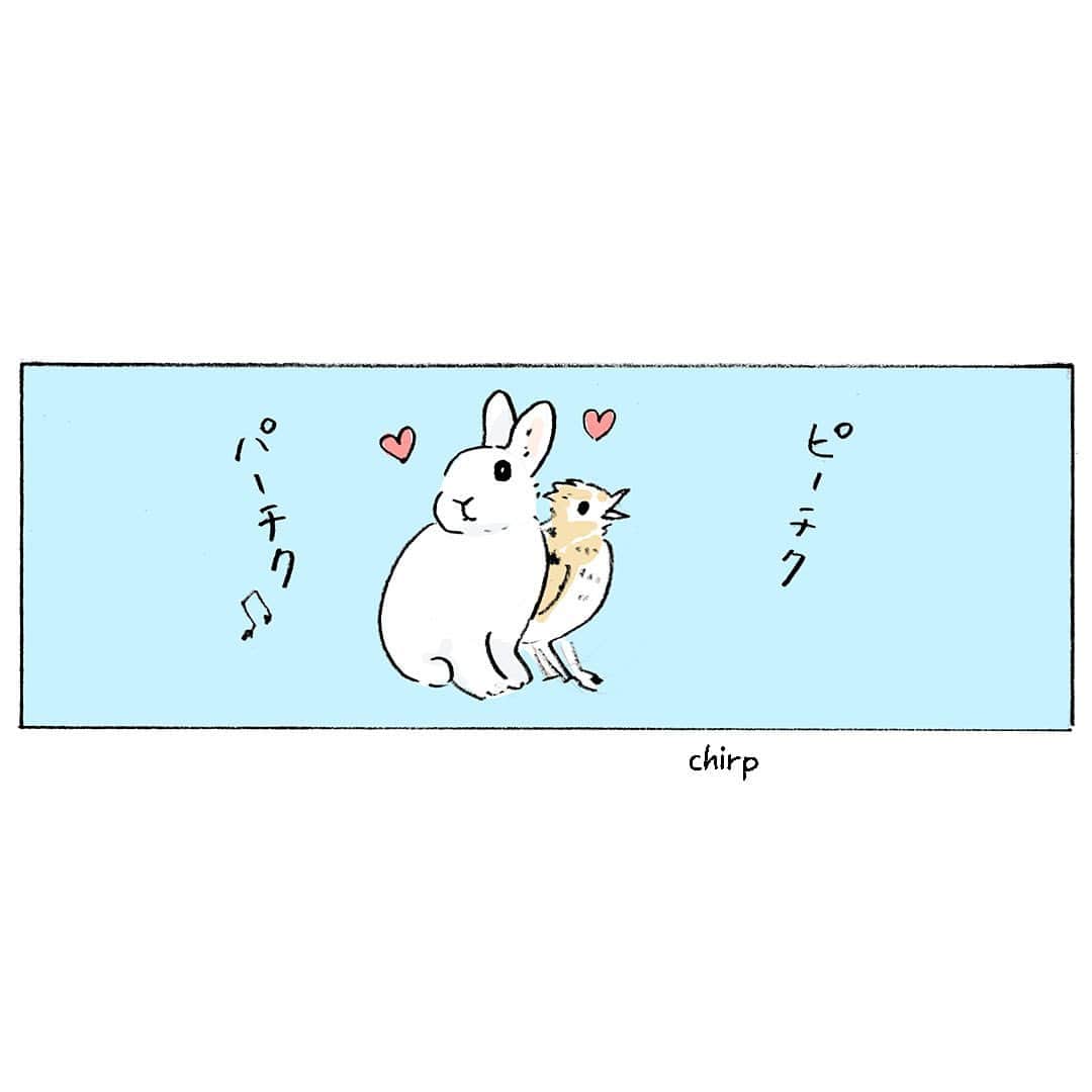 森山標子(しなこ)/Schinakoさんのインスタグラム写真 - (森山標子(しなこ)/SchinakoInstagram)「Bunny cloud and a skylark🌿 ヒバリとうさぎ雲🐇☁🐣」4月1日 11時35分 - schinako