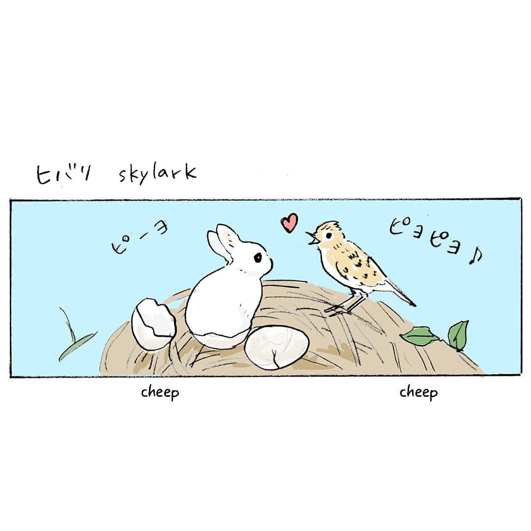 森山標子(しなこ)/Schinakoのインスタグラム：「Bunny cloud and a skylark🌿 ヒバリとうさぎ雲🐇☁🐣」