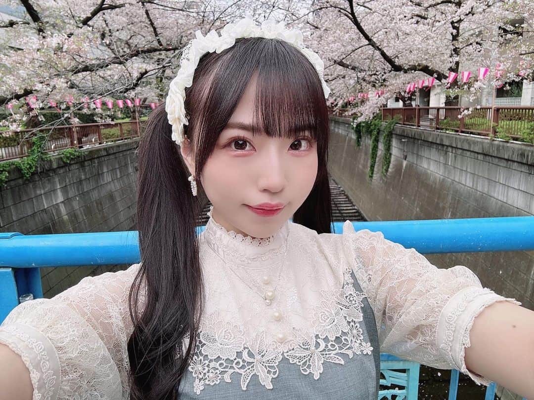 のインスタグラム：「４月もよろしくね🐰🌸 . . . . .  #アイドル#girl#idol#kawaii#kawaiigirl#kawaiifashion#followme#東京#ファッション#可愛い#かわいい#follow#フォローミー#自撮り#可愛い女の子#かわいい女の子#cosplay#cosplayer#cosplaygirl#cosplayers#コスプレ#コスプレイヤー#コスプレ女子#桜#目黒川#中目黒#池尻大橋#ロリータ#lolita#ロリータファッション」