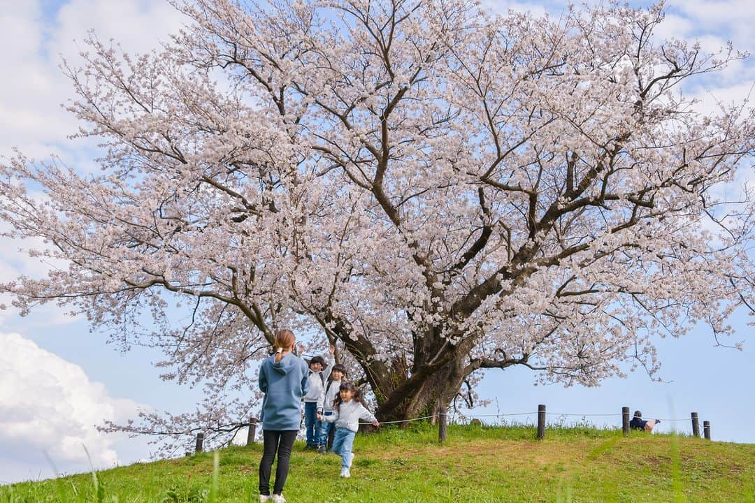 平塚市のインスタグラム