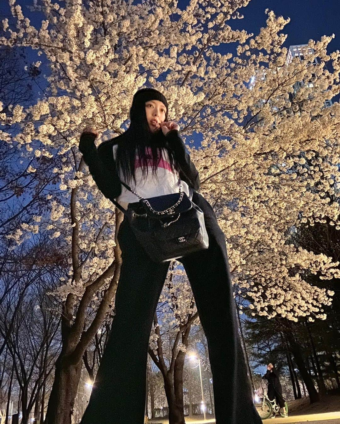 ITZYさんのインスタグラム写真 - (ITZYInstagram)「밤 벚꽃🌸」4月1日 12時29分 - itzy.all.in.us