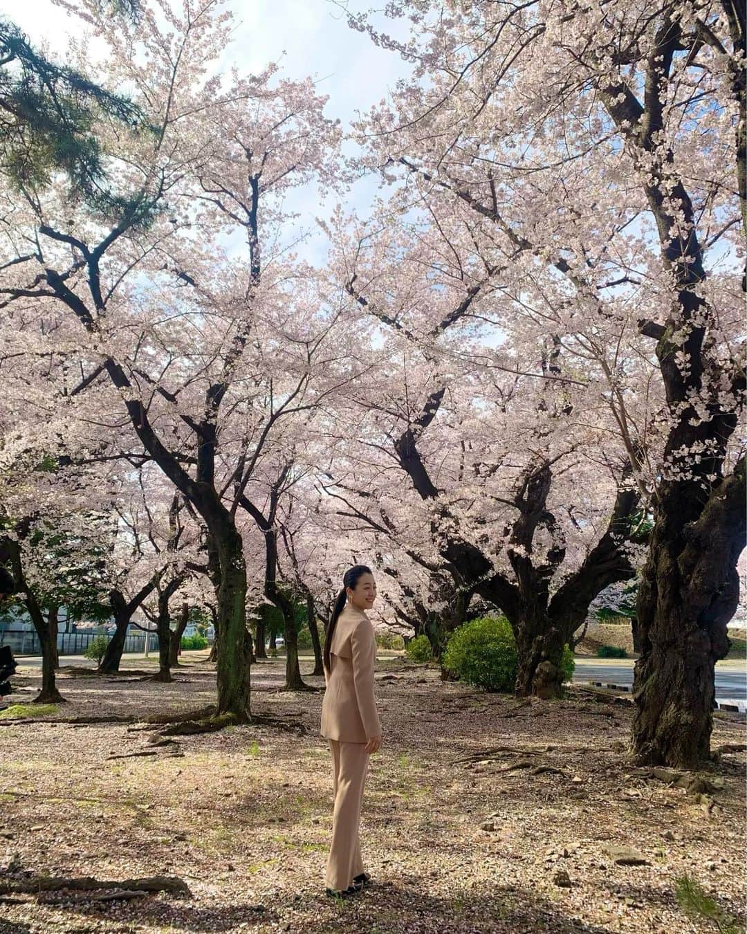 浅田真央さんのインスタグラム写真 - (浅田真央Instagram)「🌸満開の桜🌸 🌸癒されました🌸 🌸心も満開🌸 🌸また来年🌸」4月1日 12時27分 - maoasada2509