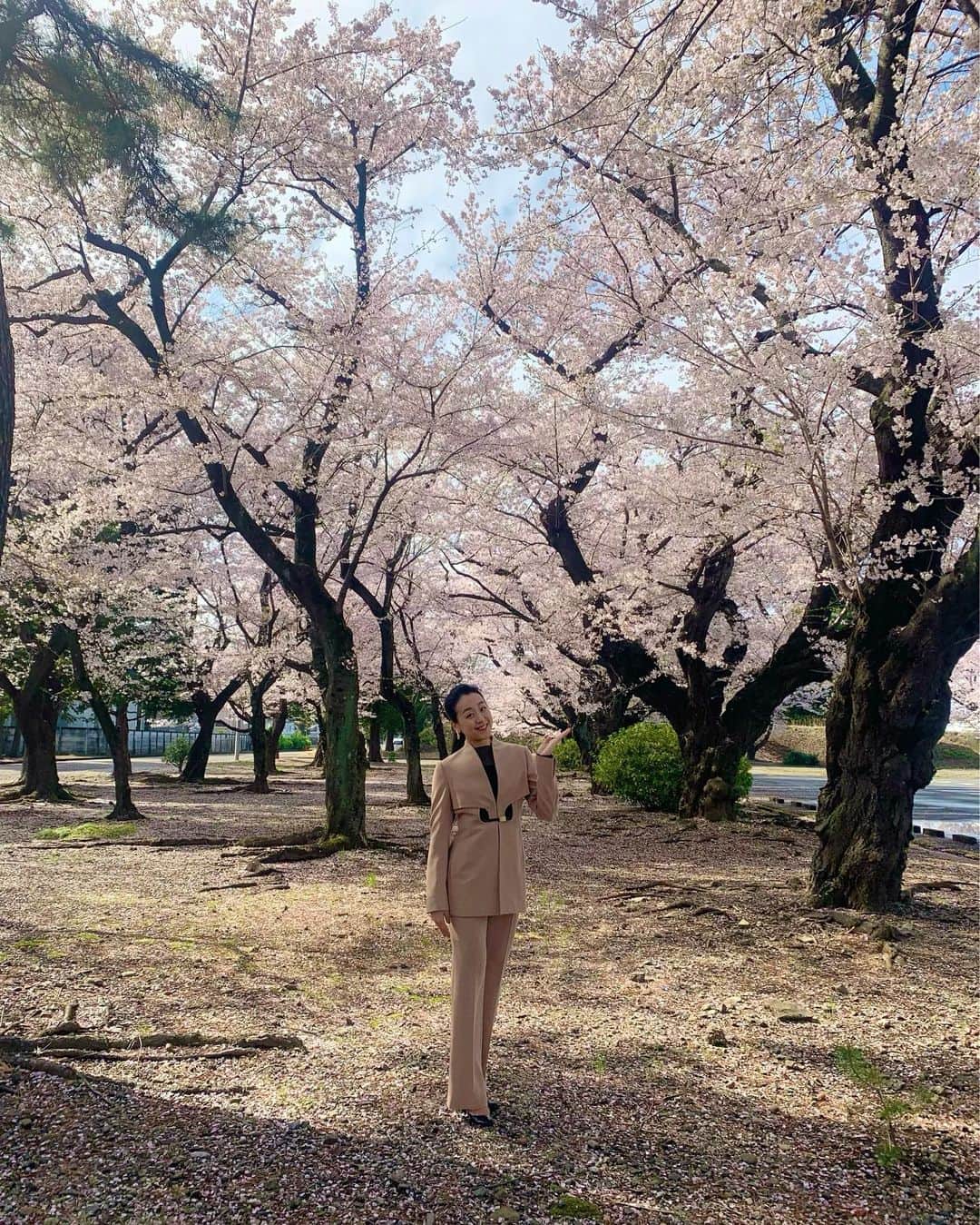 浅田真央のインスタグラム：「🌸満開の桜🌸 🌸癒されました🌸 🌸心も満開🌸 🌸また来年🌸」