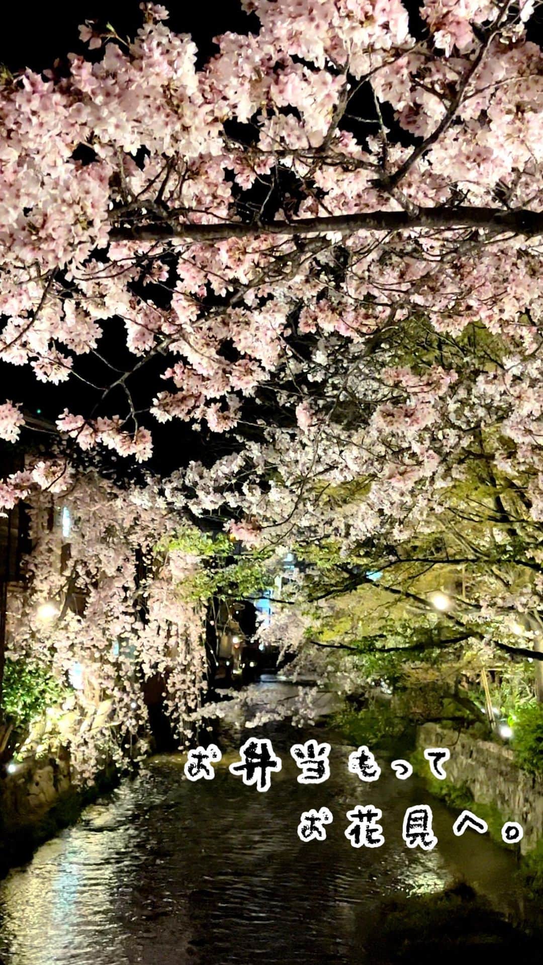 こころのたねのインスタグラム：「⢀⢄ ．．⢄ ⢀𖧧  昨日はお弁当持って、娘とお花見へ。 ⁡ 京都鴨川でお弁当とお団子食べて、 そのあとは界隈散歩🌸 夜は白川宵桜ライトアップがとびっきり綺麗で 癒されました✧ ⁡ お弁当メニュー 𖧷アスパラの豚肉巻き照り焼き 𖧷玉子焼き 𖧷赤ピーマンの白だし炒め 𖧷パセリとチーズの椎茸炒め 𖧷ニラのナムル 𖧷紫キャベツのマリネ 𖧷れんこんチップ 𖧷豆ご飯・梅干し 𖧷金柑 ⁡ ⁡ 日々のキロクは𝔸𝕞𝕖𝕓𝕒ブログにも✍️ @kokoronotane ⁡ ⁡ ⁡ 𖧷 𖧷 𖧷 𖧷 𖧷 𖧷 𖧷 𖧷 𖧷 𖧷 𖧷 𖧷  各、著書発売中です。 📘のほほん御膳 📗のほほん曲げわっぱ弁当 📙美しい作りおき 📕かわいいお菓子 𖧷 𖧷 𖧷 𖧷 𖧷 𖧷 𖧷 𖧷 𖧷 𖧷 𖧷 𖧷 詳細・お求めはハイライトの📚マークから。 ⁡ その他、オリジナル商品 🍵有機茶（6種） 🍲レンジ鍋（3種） 🧸online shop（手づくり） ハイライトの各マークから✧ @kokoronotane ⁡ おでかけアカウント @_tecu_tecu_  はじめてみました𖠿 ．．⢄ ．．⢄ ⢀⢄ ．⢀𖧧 ⁡ #🌸#弁当#お弁当#おべんとう#手作り弁当#豆ご飯#お出かけ#京都おでかけ#桜#夜桜#京都#お花見#京都の桜#京都お花見#京都鴨川#京都白川#京都ぶらり#京都散歩#京都を楽しむ #白川ライトアップ#情緒ある風景#kyoto」