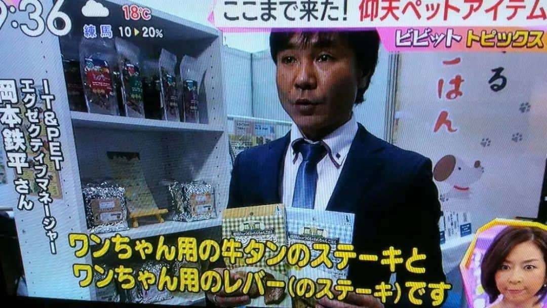 モラキジドッグさんのインスタグラム写真 - (モラキジドッグInstagram)「6年前の今日はモラキジドッグでインターペット出店したな。懐かしい。 * しかも！ モラキジドッグを立ち上げる前の【うしすけ】に居た時にインターペットで取材を受けた放送動画残ってたよ😃  これまた懐かしい😁  TV壊れちゃった時にもう見れないと思ってたから嬉しいな😊  ガチガチに緊張してるけどね🤣🤣  声が聞けて嬉しいよ🤣🤣 * 今日から4月！ 3月も有り難うでした✨ 今月も宜しくお願いします☺️ * #インターペット2017 #モラキジドッグ #ビビット #うしすけ」4月1日 12時40分 - morakijidog